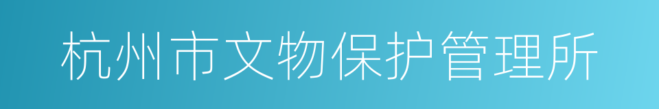 杭州市文物保护管理所的同义词