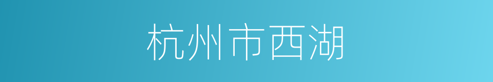 杭州市西湖的同义词