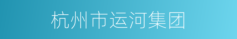 杭州市运河集团的同义词