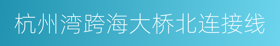 杭州湾跨海大桥北连接线的同义词