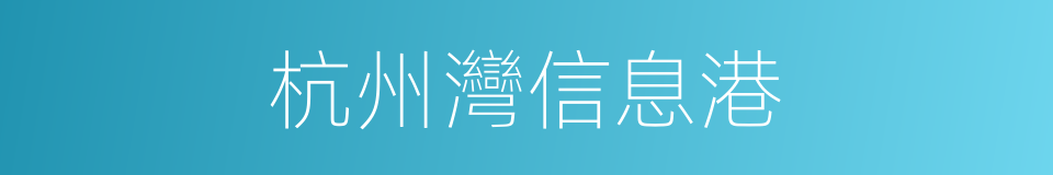 杭州灣信息港的同義詞
