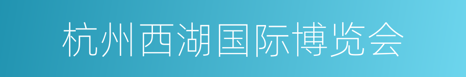 杭州西湖国际博览会的同义词