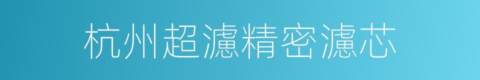 杭州超濾精密濾芯的同義詞