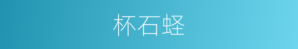 杯石蛏的同义词