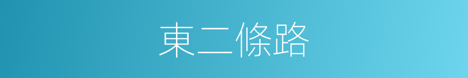 東二條路的同義詞
