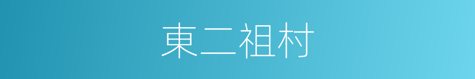 東二祖村的同義詞