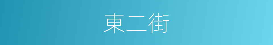 東二街的同義詞