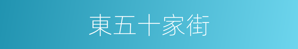 東五十家街的同義詞