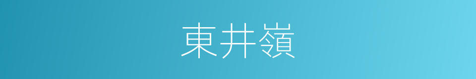 東井嶺的同義詞