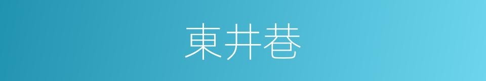 東井巷的同義詞