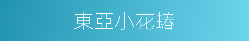 東亞小花蝽的同義詞