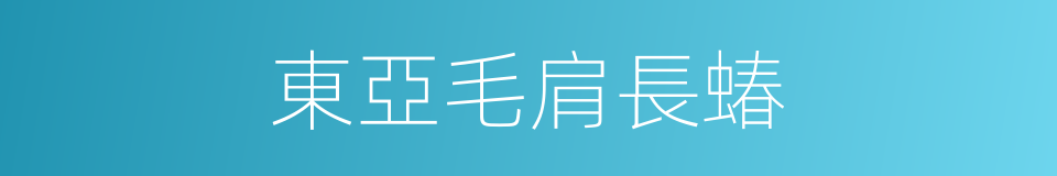 東亞毛肩長蝽的同義詞