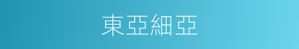 東亞細亞的同義詞