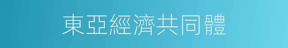 東亞經濟共同體的同義詞