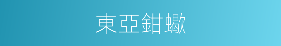東亞鉗蠍的同義詞