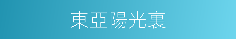 東亞陽光裏的同義詞
