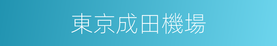 東京成田機場的同義詞