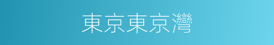 東京東京灣的同義詞