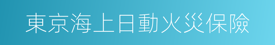 東京海上日動火災保險的同義詞