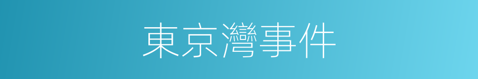 東京灣事件的同義詞