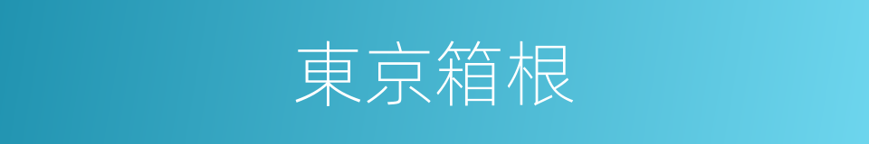 東京箱根的同義詞