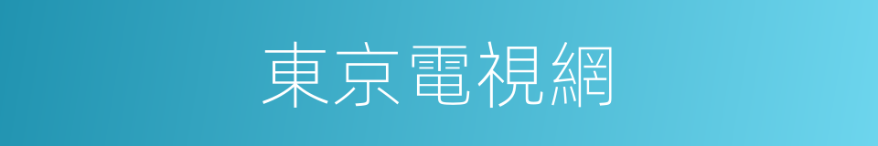 東京電視網的同義詞