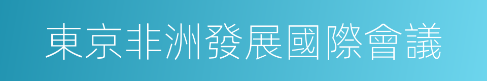 東京非洲發展國際會議的同義詞