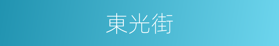 東光街的同義詞