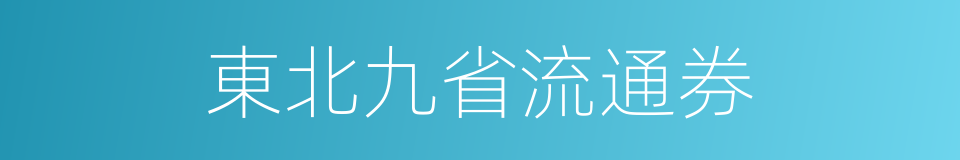 東北九省流通券的同義詞