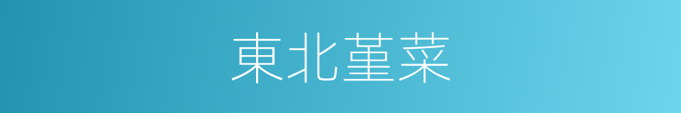 東北堇菜的同義詞