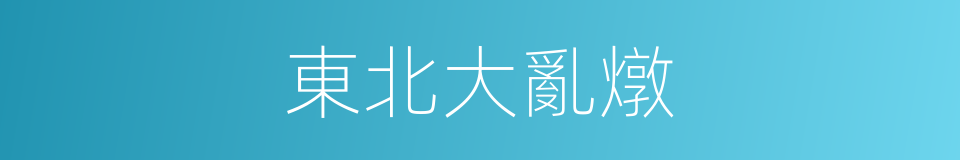 東北大亂燉的同義詞