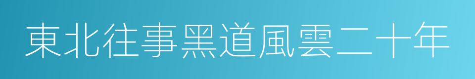 東北往事黑道風雲二十年的同義詞