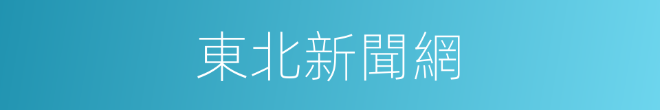 東北新聞網的同義詞