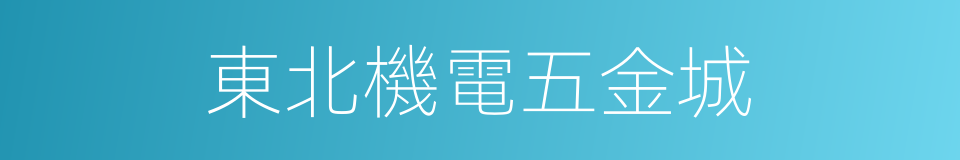 東北機電五金城的同義詞