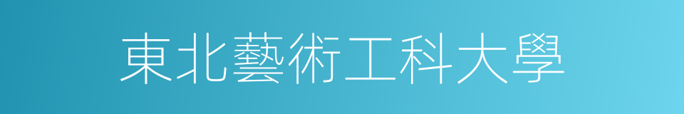 東北藝術工科大學的同義詞