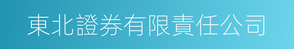 東北證券有限責任公司的同義詞