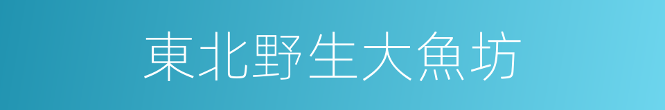 東北野生大魚坊的同義詞