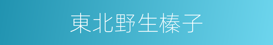 東北野生榛子的同義詞