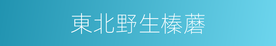 東北野生榛蘑的同義詞