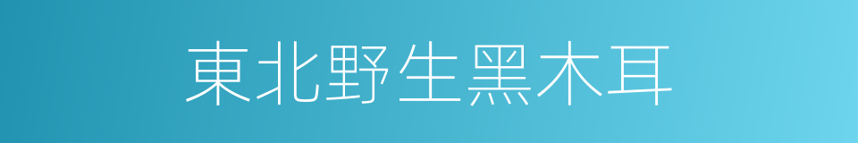 東北野生黑木耳的同義詞