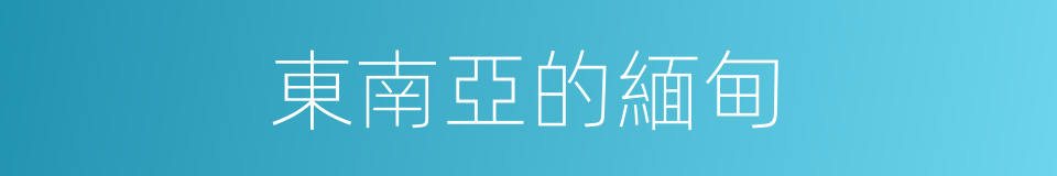 東南亞的緬甸的同義詞