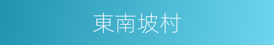 東南坡村的同義詞