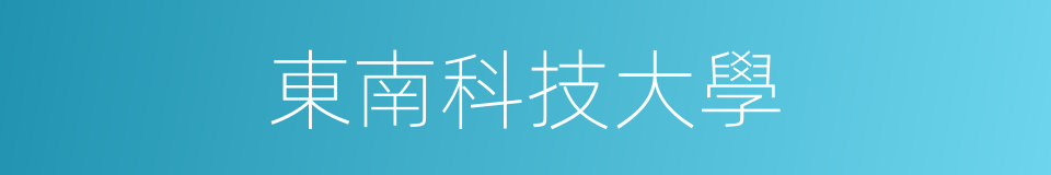 東南科技大學的同義詞