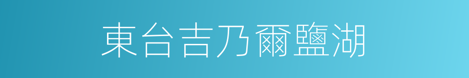 東台吉乃爾鹽湖的同義詞