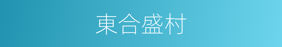 東合盛村的同義詞