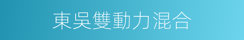 東吳雙動力混合的同義詞