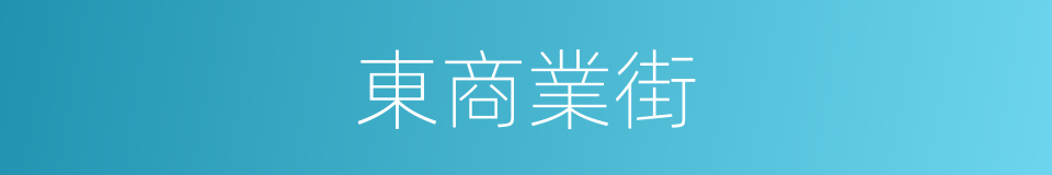 東商業街的同義詞
