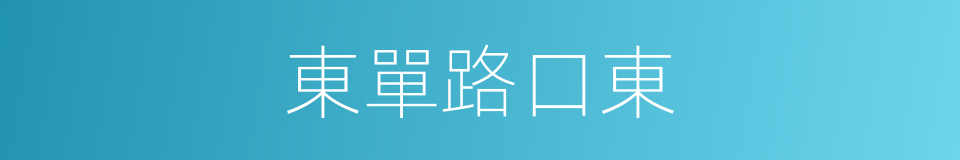 東單路口東的同義詞