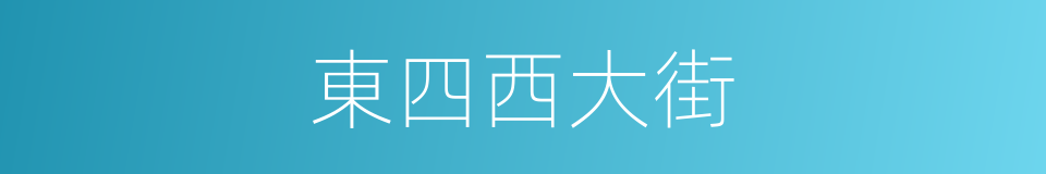 東四西大街的同義詞