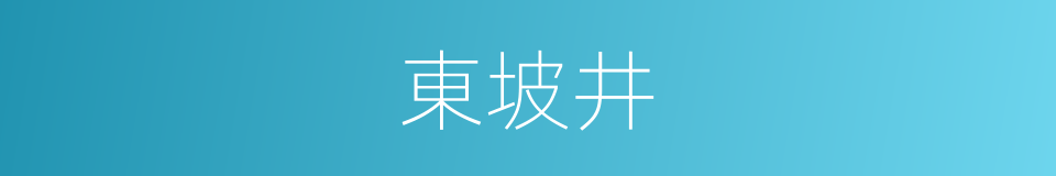 東坡井的同義詞